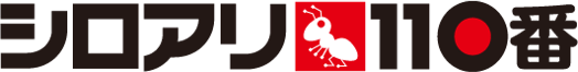 110_logo