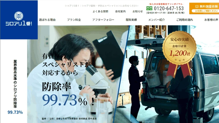 シロアリ1番_LP